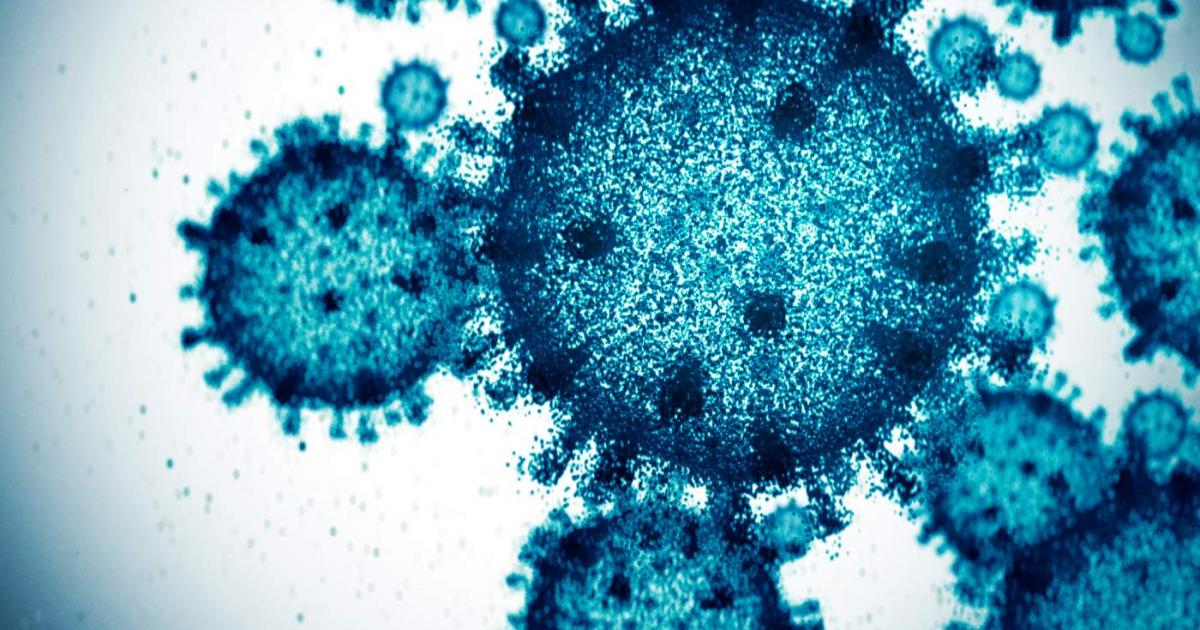 Una bacteria