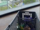 Un mexicano visita un supermercado venezolano por primera vez y se queda alucinado