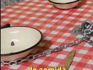 Así es un "bar de leche", los restaurantes más curiosos que vas a encontrarte en Polonia