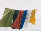 ¿Por qué estas son las toallas del verano?