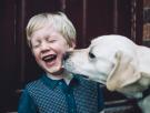 Adiós a los perros de siempre: los científicos detectan una evolución y avisan de que hay que ponerse las pilas