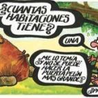También construyó las primeras cabañas redondeadas, cubiertas por madera y pieles.
