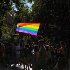 orgullo