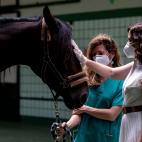 La mujer que susurraba a los caballos.