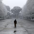El retiro de Madrid, nevado.