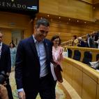 El presidente Pedro S&aacute;nchez a su llegada al Senado.