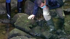Acude al arroyo a pescar truchas y lo que descubre oculto en las piedras obliga a intervenir a los arqueólogos