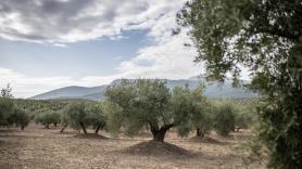 Abandonamos el frenesí de Reino Unido para comprar un paraíso español con cervezas a 1 euro