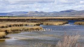 Este es el parque nacional más pequeño de España