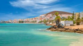 Descubren una invasión de las hormigas más destructivas en Tenerife y piden medidas urgentes