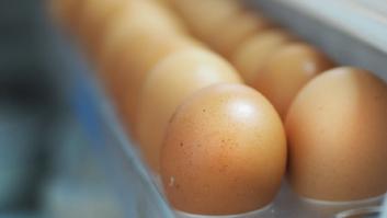 Por qué jamás debes guardar los huevos en la puerta del frigorífico