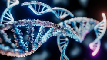 Descifrado el cromosoma Y, la última pieza del genoma humano completo