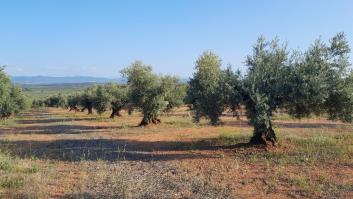 Movilización en Ciudad Real por las tierras raras magnéticas para coches eléctricos