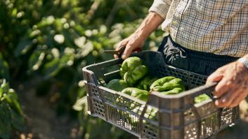 Cuánto gana un agricultor en España en 2024 con o sin experiencia