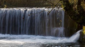 Aparecen salmones en zonas inéditas de España tras romper una presa francesa