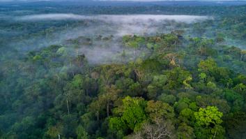 Un arqueólogo sostiene que la leyenda de la ciudad perdida en el Amazonas "no tiene sentido"