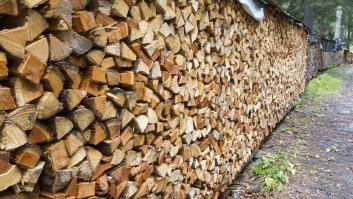 La leña tiene fecha de caducidad y los expertos piden no usarla en la chimenea a partir de esta fecha
