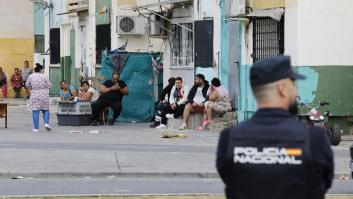 Decomisan 1.200 plantas de marihuana y un Kalashnikov en las Tres Mil Viviendas (Sevilla)