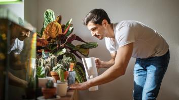 El líquido dorado que seguro tienes en casa y que nunca habías pensado en usar con tus plantas