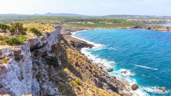El tesoro marino español convertido en una guardería de cachalotes rompe el tráfico marítimo: "Es la medida reina"