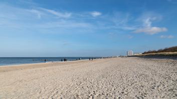Va a pasear a la playa, observa algo inusual en la arena y descubre que es "un tesoro de un millón de años"