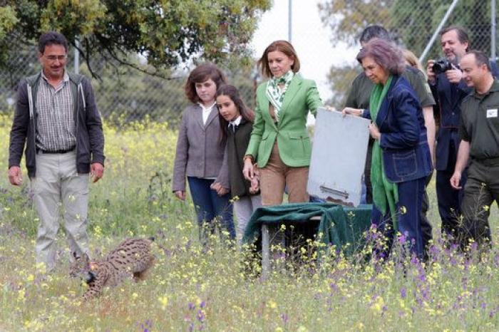 Fernández Díaz y Cospedal, ante sus mentiras en el Congreso