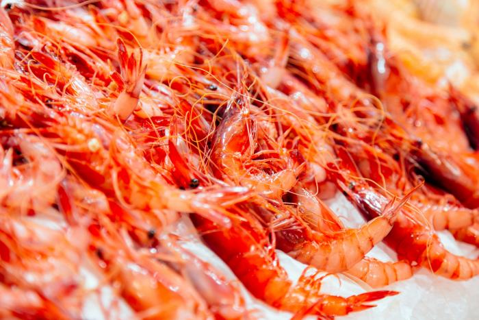 ¿Es posible una cesta de la compra por 30 euros y saludable? Los nutricionistas responden