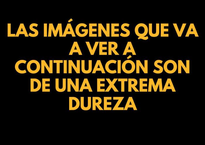 La generación que iba a acabar con el hambre está aumentando el número de hambrientos