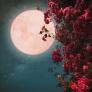 Luna de las flores 2025: cuándo y desde dónde ver la luna llena de mayo en España