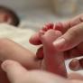 Más de 3.000 personas en España se llaman León y estas son las cinco provincias donde más abundan